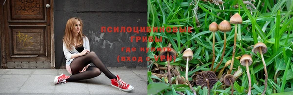круглые Алагир
