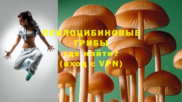 прущие крисы Алексин