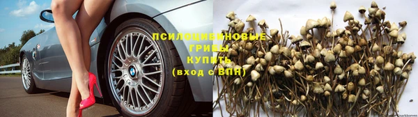 наркотики Абаза